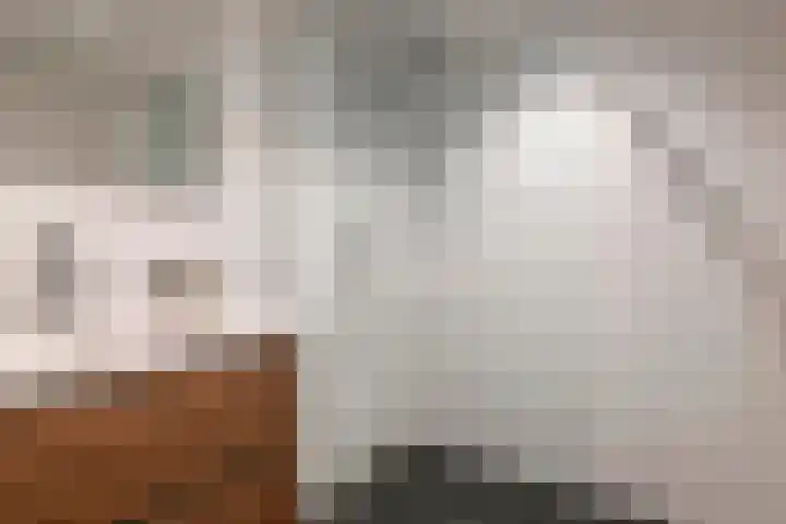 Konijnenwal 42 Tiel thumbnail 32