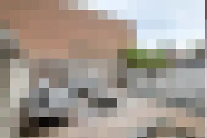 Konijnenwal 42 Tiel thumbnail 37