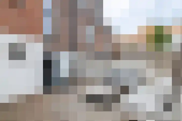 Konijnenwal 42 Tiel thumbnail 38