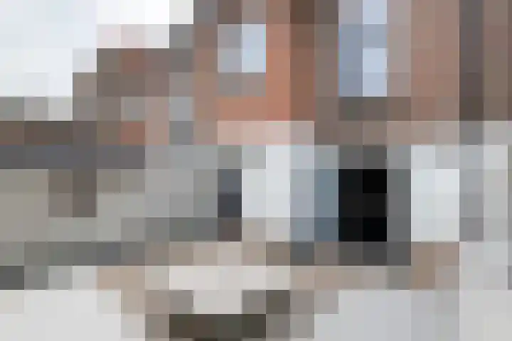 Konijnenwal 42 Tiel thumbnail 39