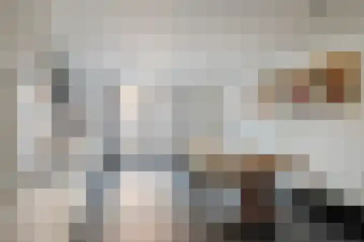 Konijnenwal 42 Tiel thumbnail 4