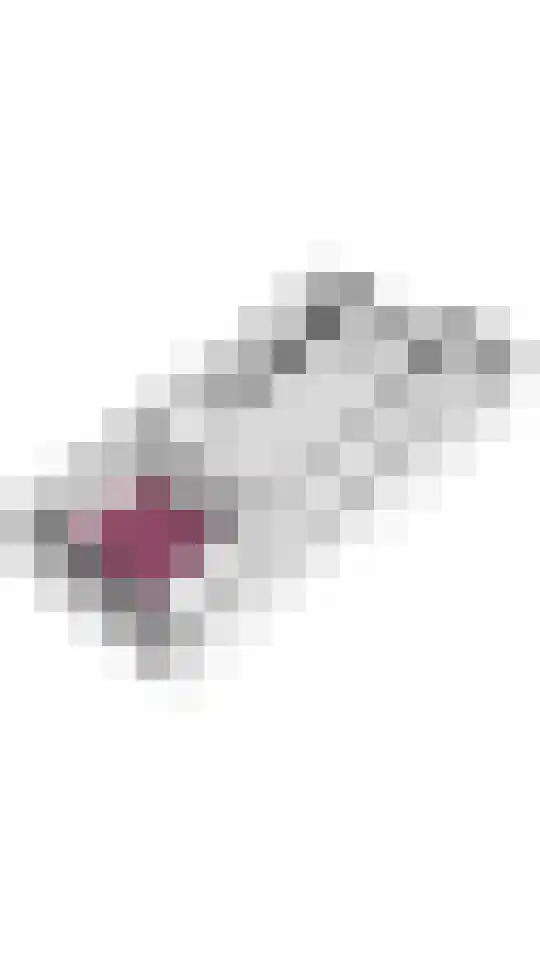 Konijnenwal 42 Tiel thumbnail 44