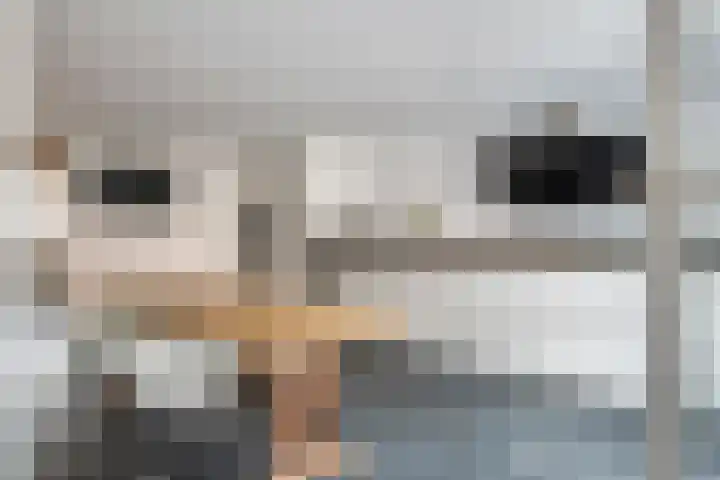 Konijnenwal 42 Tiel thumbnail 6