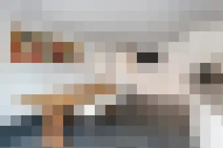 Konijnenwal 42 Tiel thumbnail 7