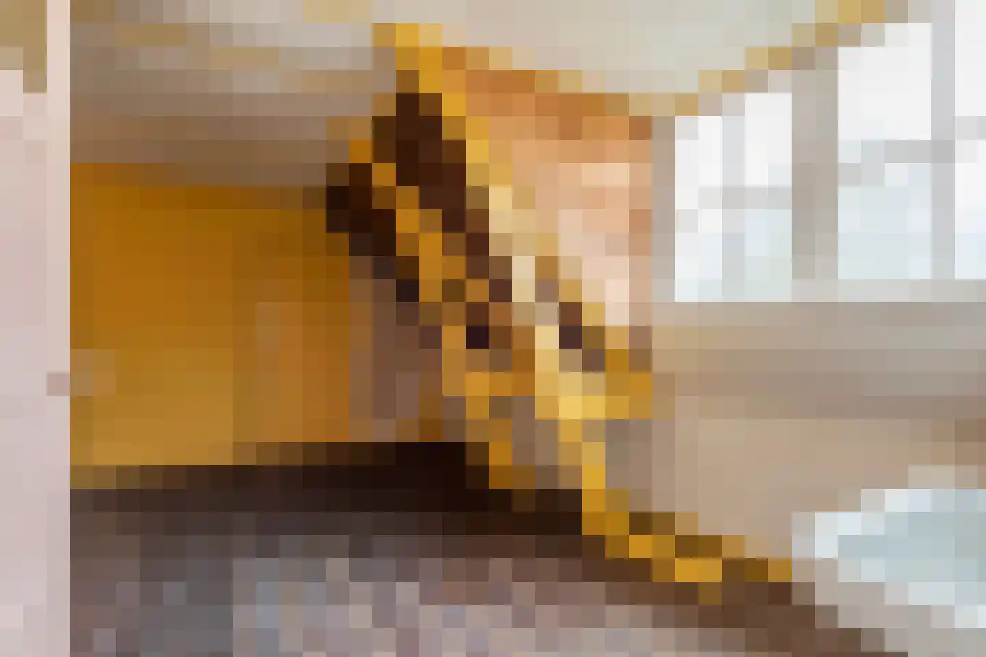 Konijnenwal 50 Tiel thumbnail 24