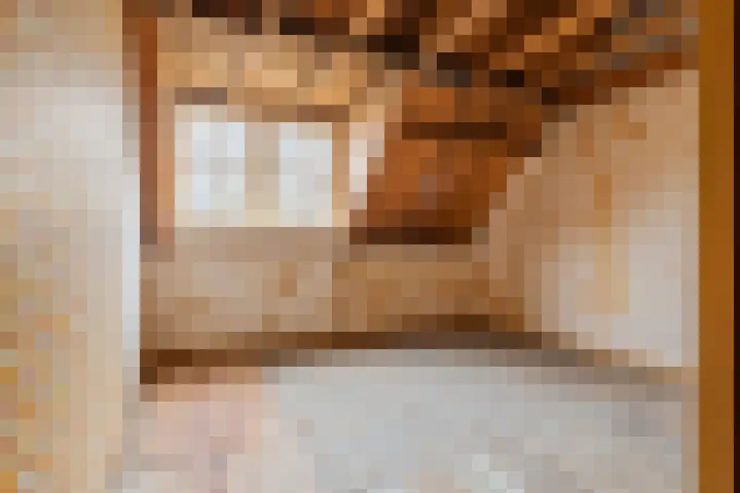 Konijnenwal 50 Tiel thumbnail 29