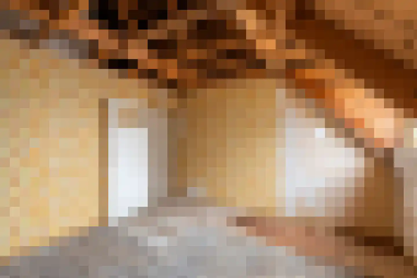 Konijnenwal 50 Tiel thumbnail 30