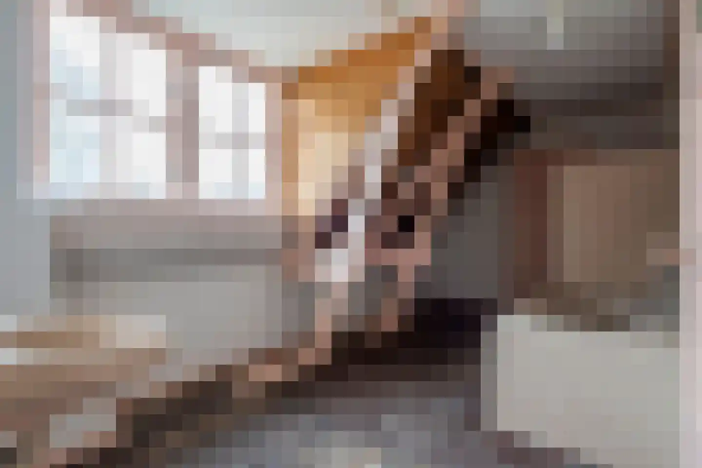 Konijnenwal 50 Tiel thumbnail 31