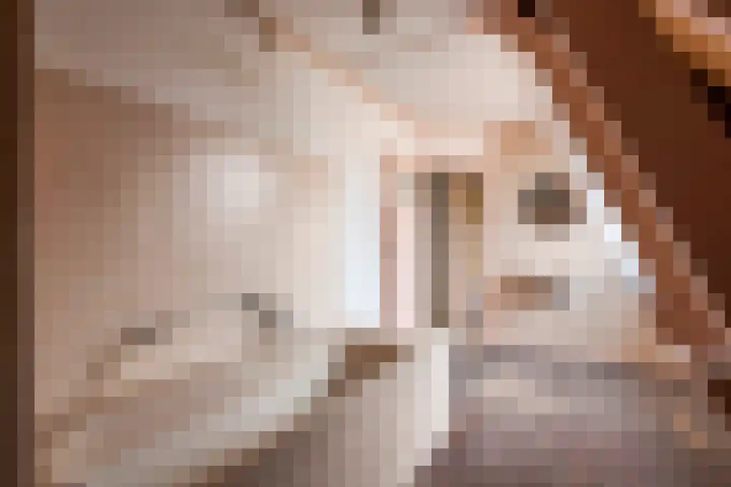 Konijnenwal 50 Tiel thumbnail 32