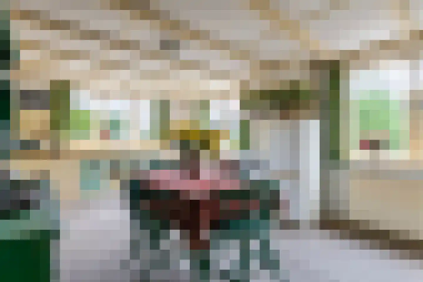 Konijnenwal 50 Tiel thumbnail 36
