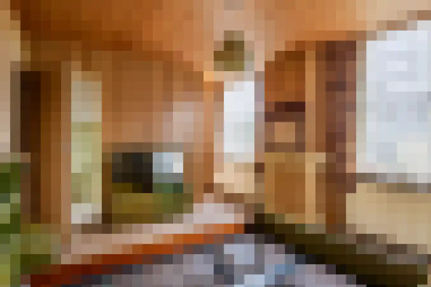 Konijnenwal 50 Tiel thumbnail 55