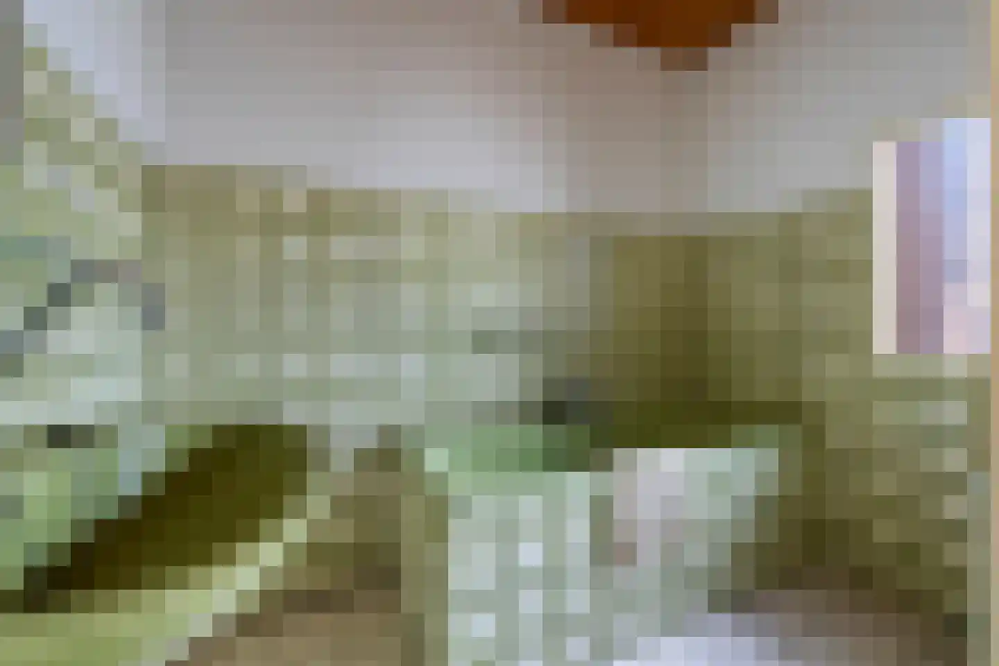 Konijnenwal 50 Tiel thumbnail 57