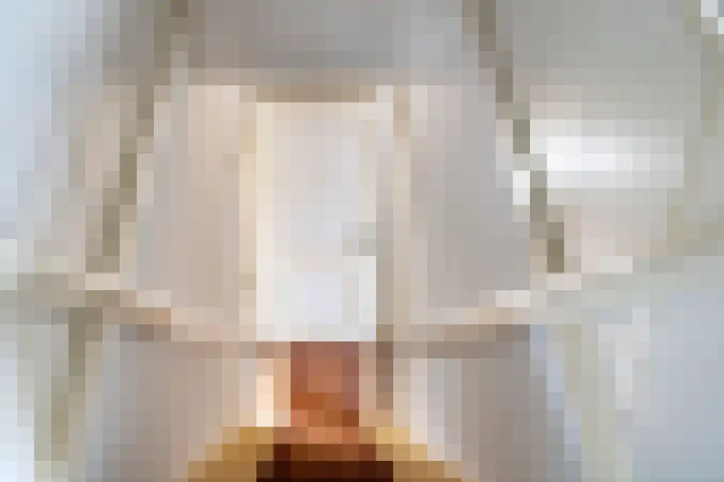 Konijnenwal 50 Tiel thumbnail 60