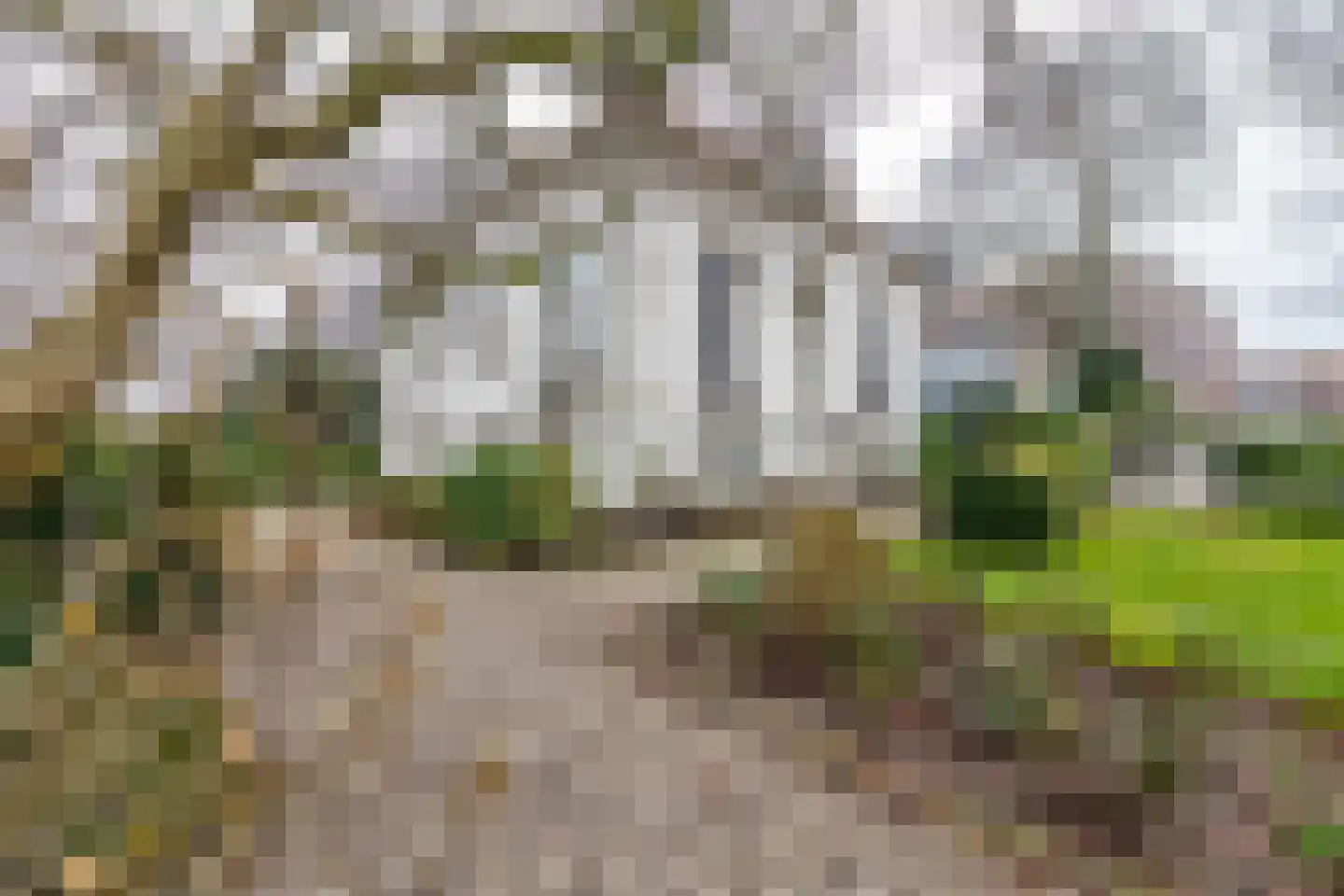 Konijnenwal 50 Tiel thumbnail 72