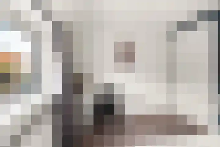 Konijnenweg 1 Arnhem thumbnail 18
