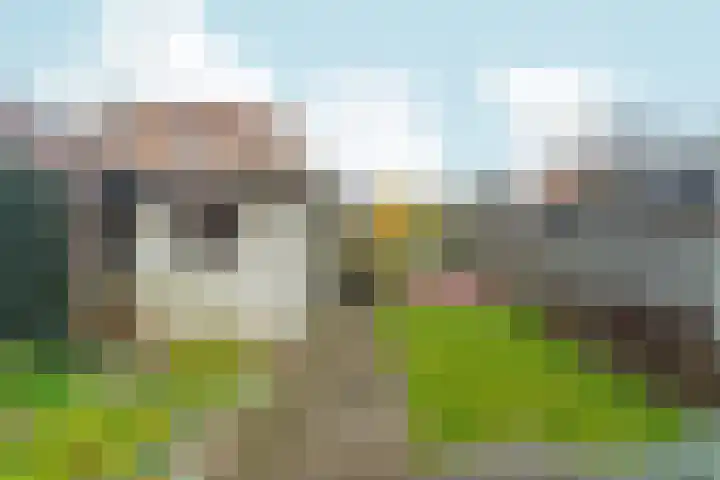 Konijnenweg 1 Arnhem thumbnail 29