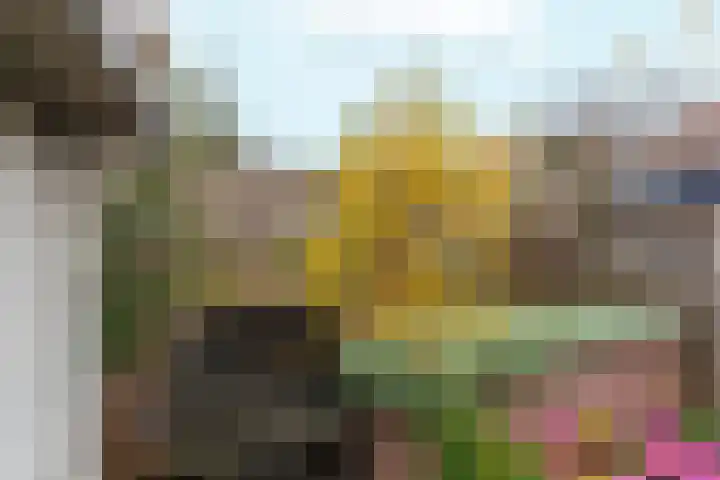 Konijnenweg 1 Arnhem thumbnail 31