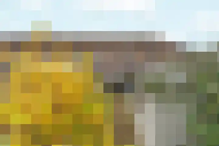 Konijnenweg 1 Arnhem thumbnail 31