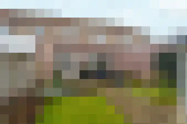 Konijnenweg 1 Arnhem thumbnail 32