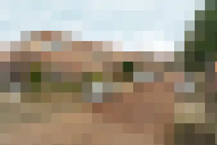 Konijnenweg 1 Arnhem thumbnail 38