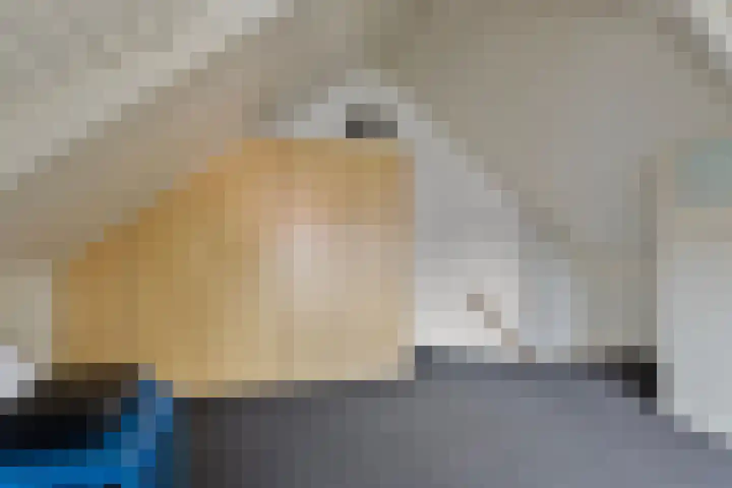Konijnshoolsedreef 10 Boxtel thumbnail 21