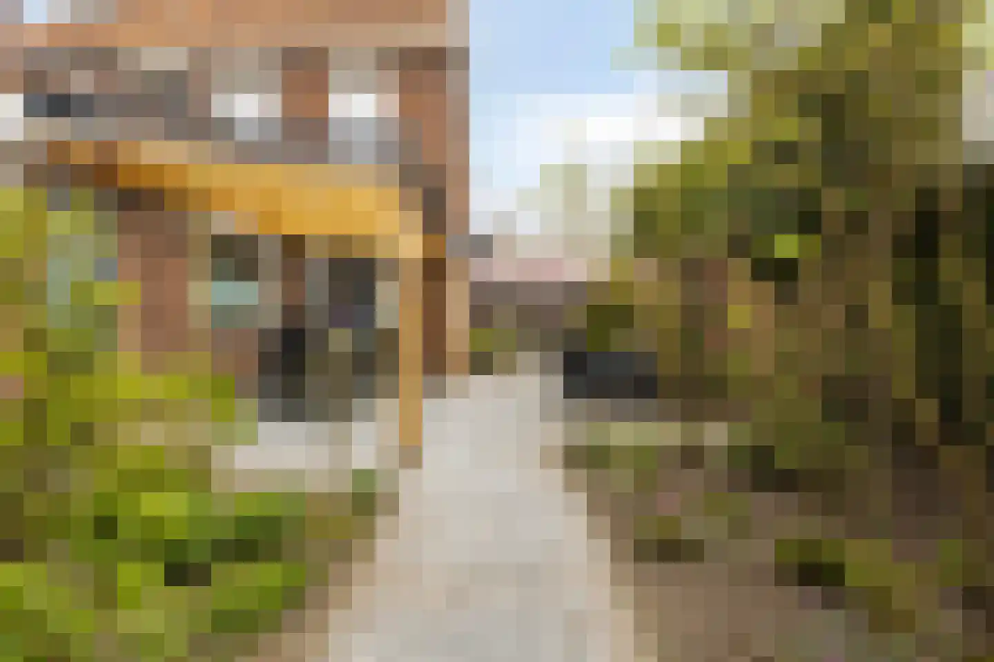 Konijnshoolsedreef 10 Boxtel thumbnail 23