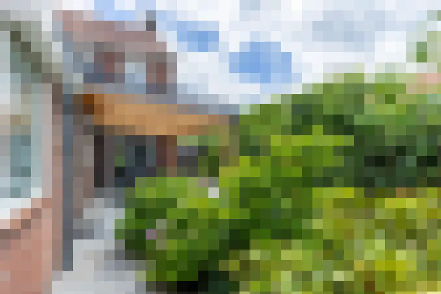 Konijnshoolsedreef 10 Boxtel thumbnail 25