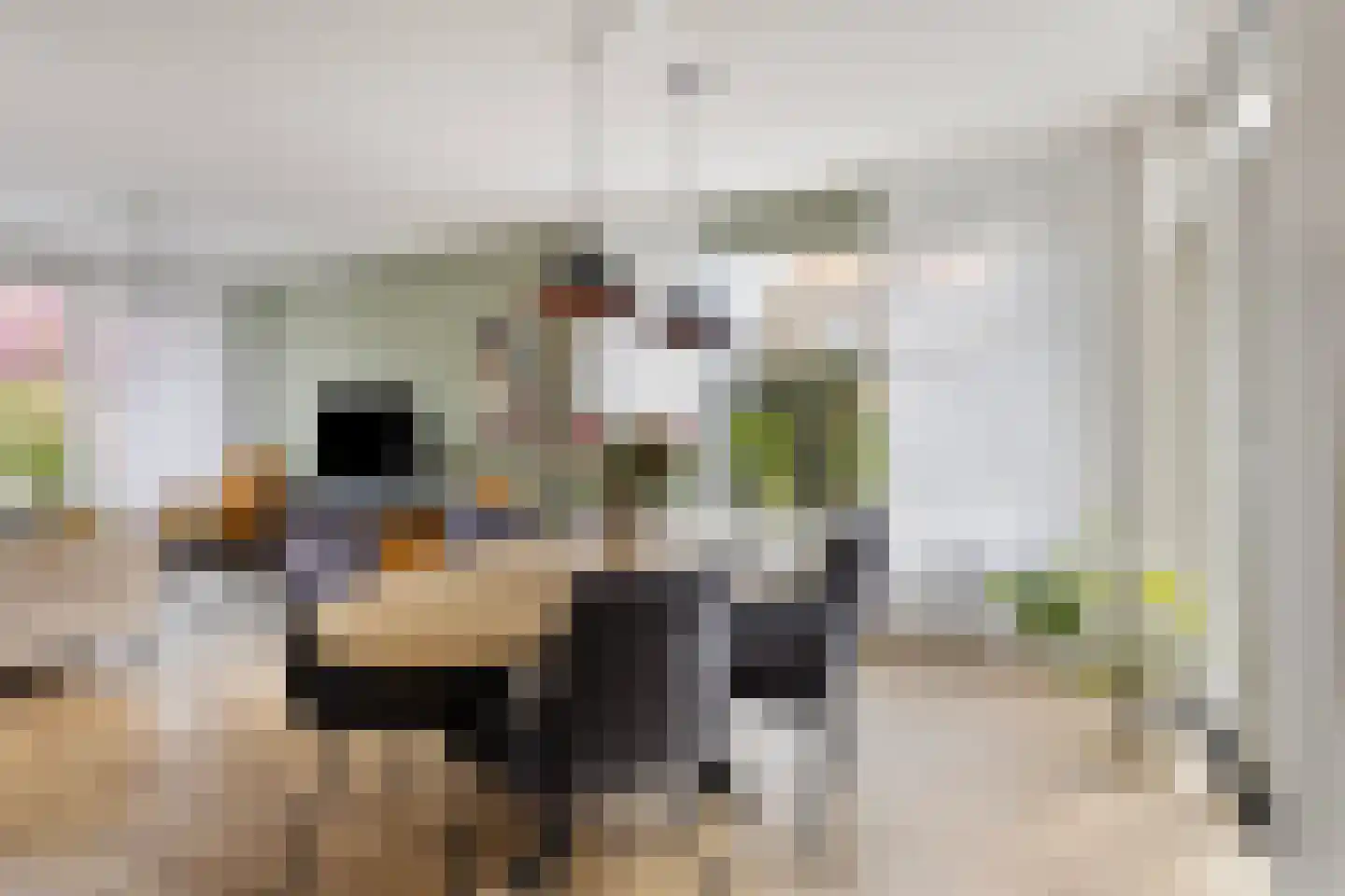 Konijnshoolsedreef 10 Boxtel thumbnail 5