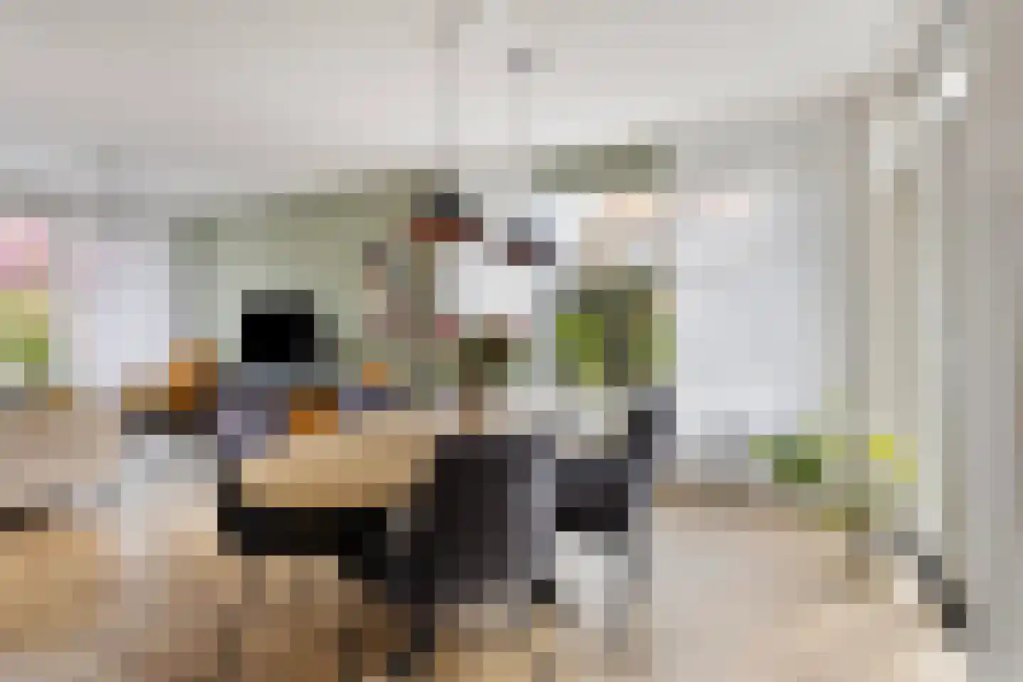 Konijnshoolsedreef 10 Boxtel thumbnail 5