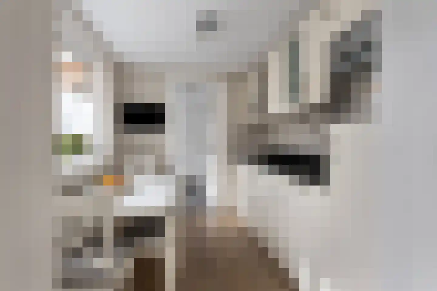Konijnshoolsedreef 10 Boxtel thumbnail 8