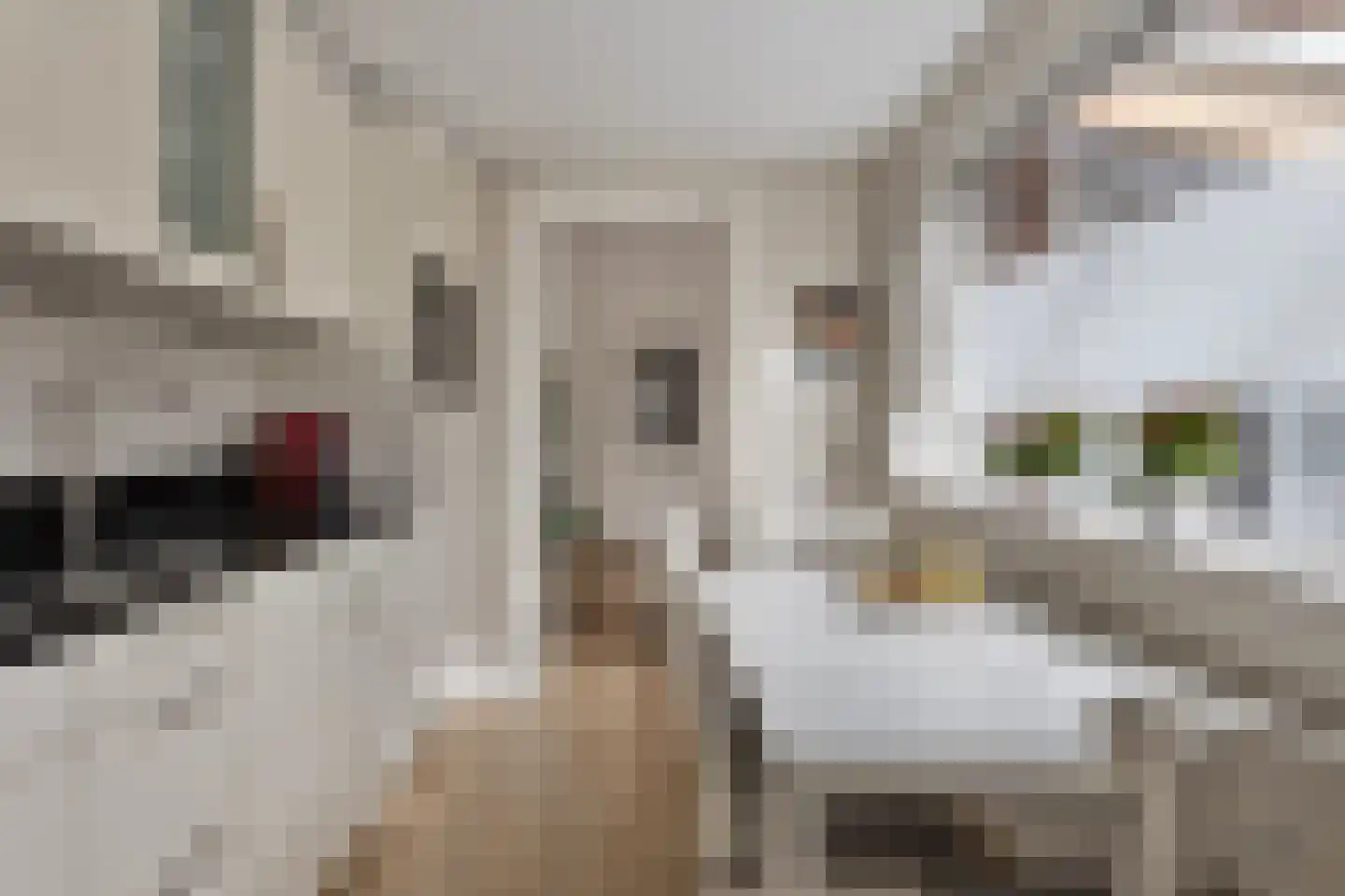 Konijnshoolsedreef 10 Boxtel thumbnail 9