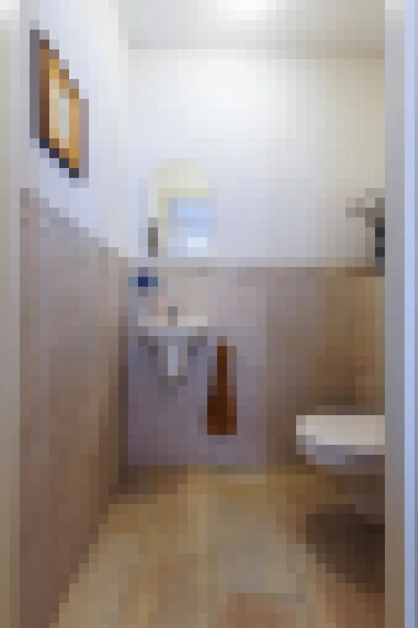 Konijnshoolsedreef 2 b Boxtel thumbnail 28