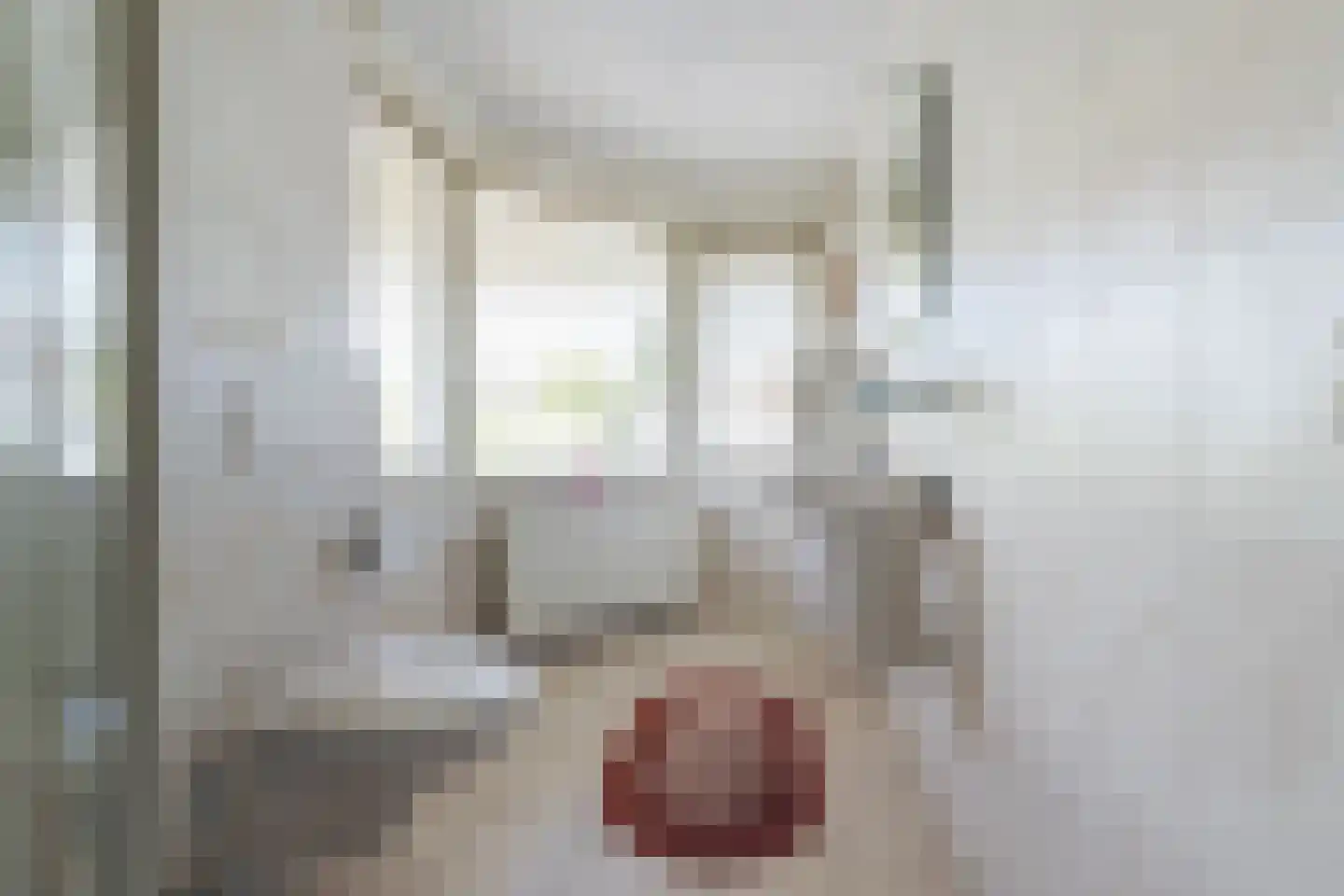 Konijnshoolsedreef 2 b Boxtel thumbnail 35