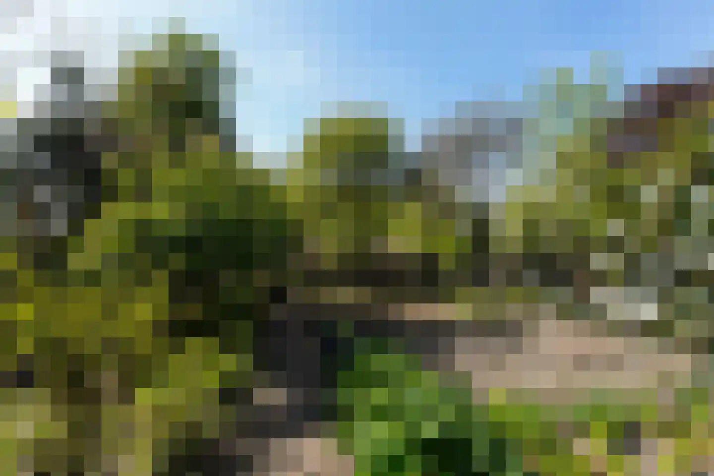 Konijnshoolsedreef 2 b Boxtel thumbnail 49