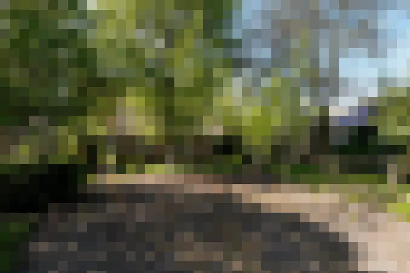 Konijnshoolsedreef 2 b Boxtel thumbnail 50