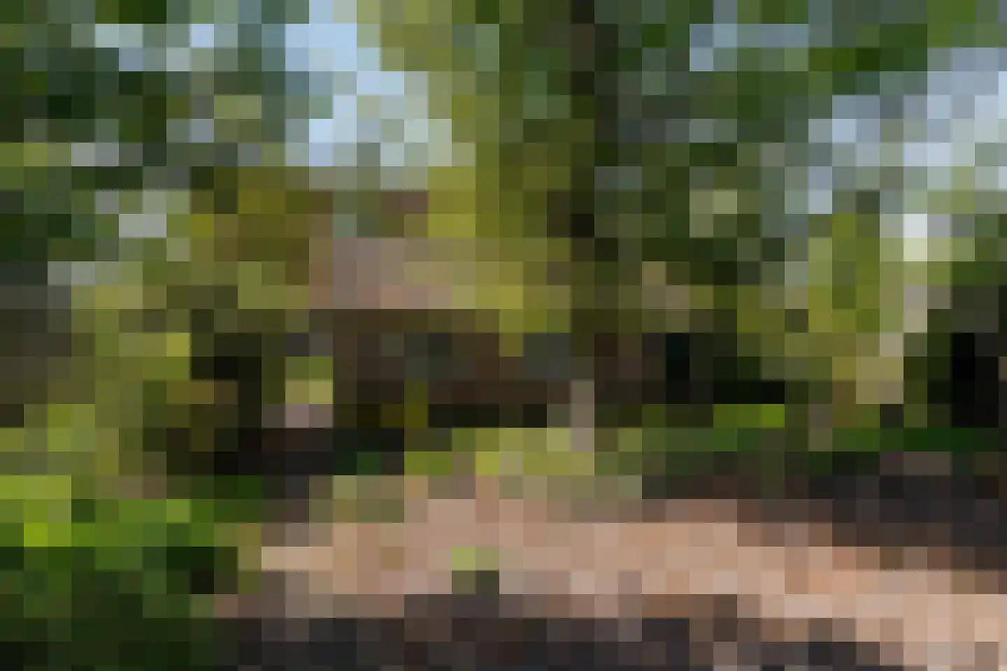 Konijnshoolsedreef 2 b Boxtel thumbnail 51