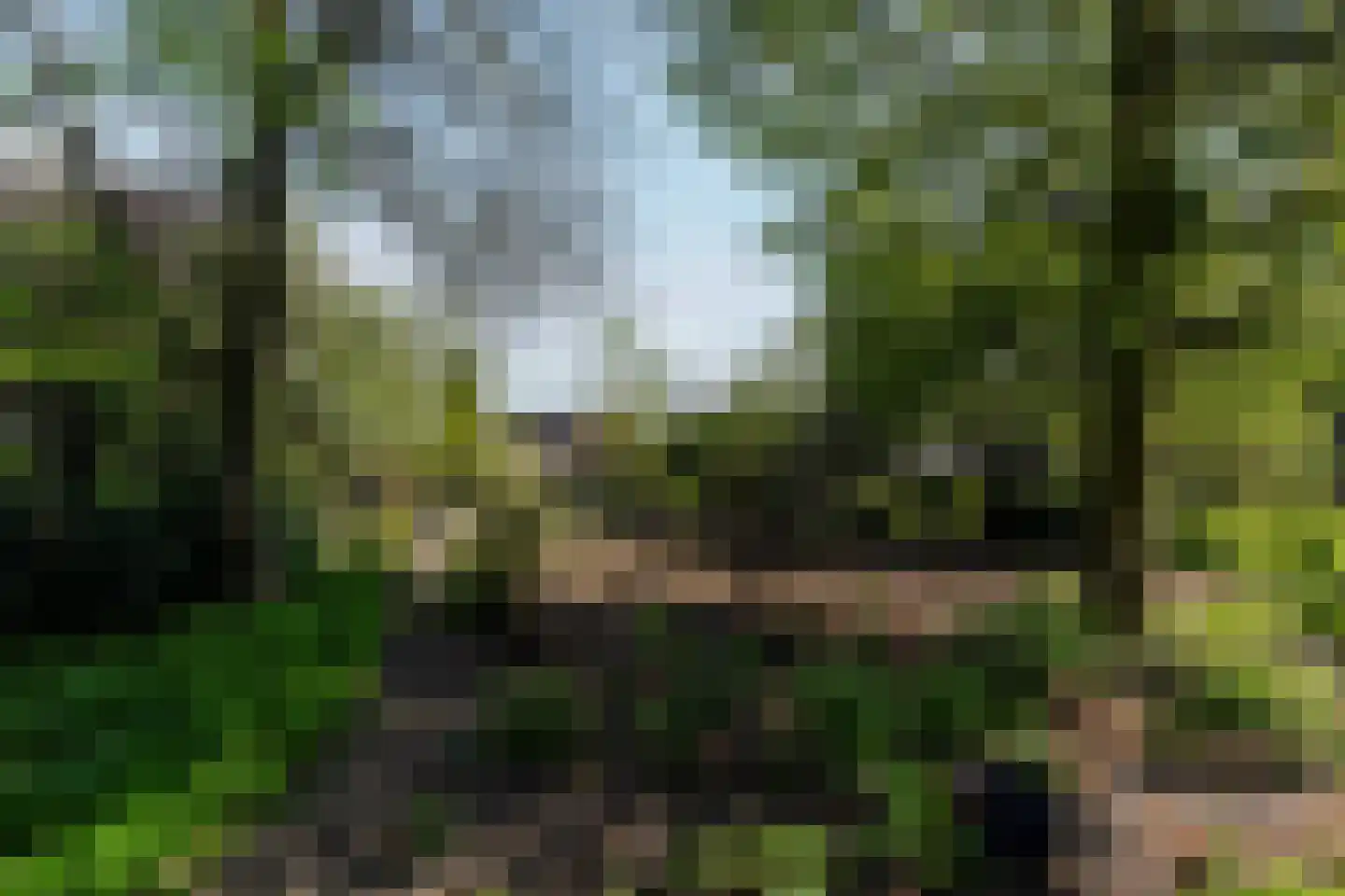 Konijnshoolsedreef 2 b Boxtel thumbnail 52