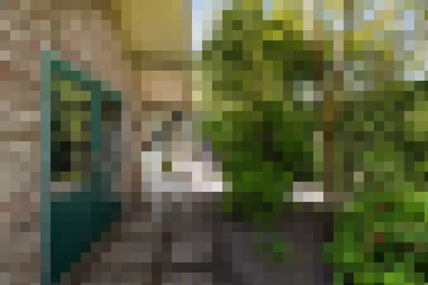 Konijnshoolsedreef 2 b Boxtel thumbnail 53