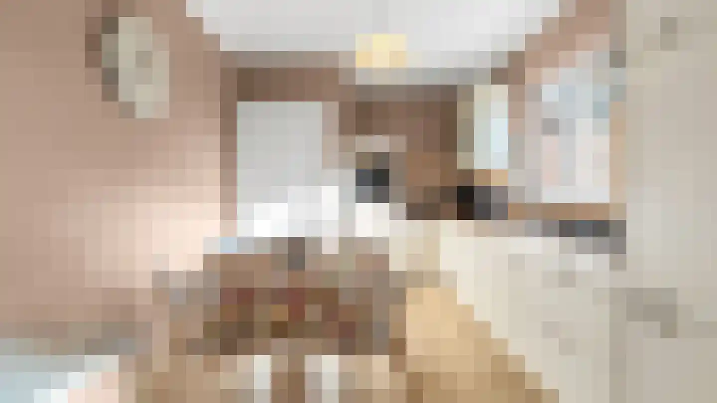 Koning Albertlaan 85 Arriën thumbnail 6