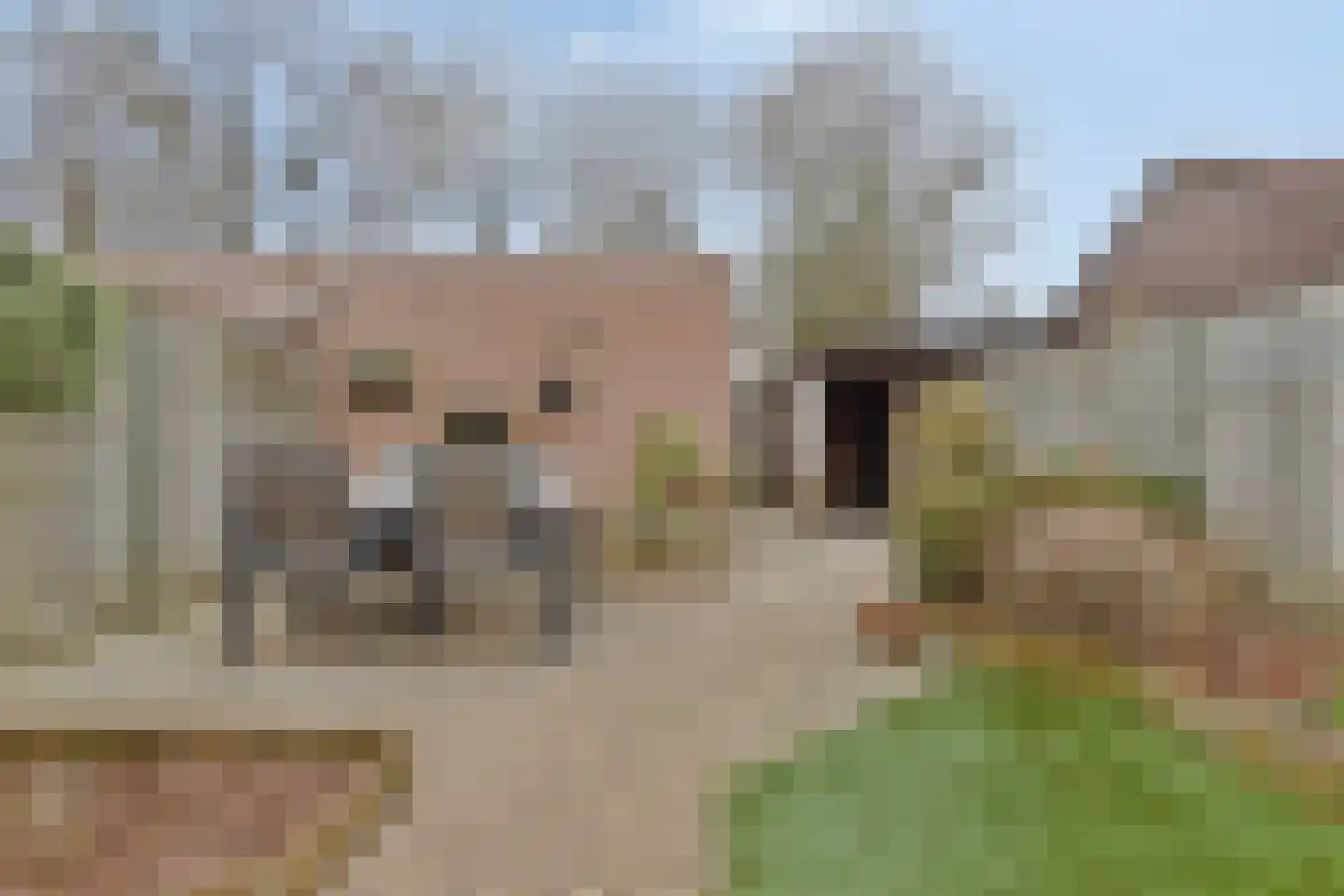 Koning Arthurlaan 3 Eindhoven thumbnail 32