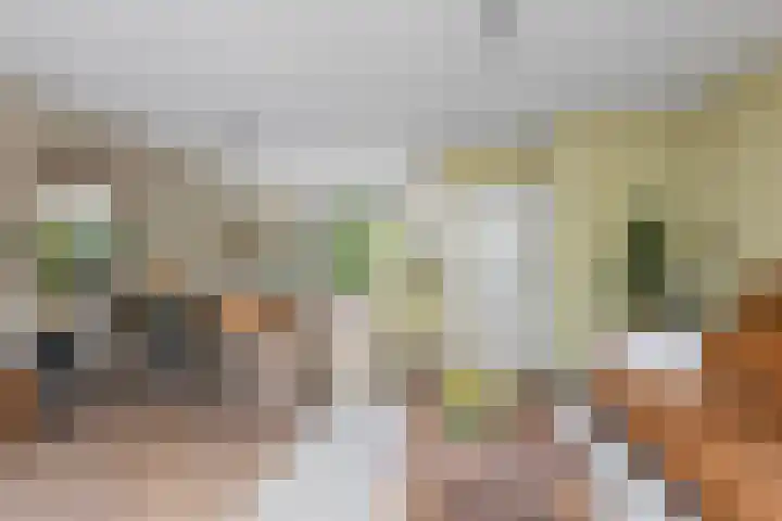 Koning Assentijnpad 24 Amersfoort thumbnail 13