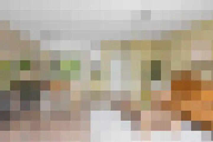Koning Assentijnpad 24 Amersfoort thumbnail 14