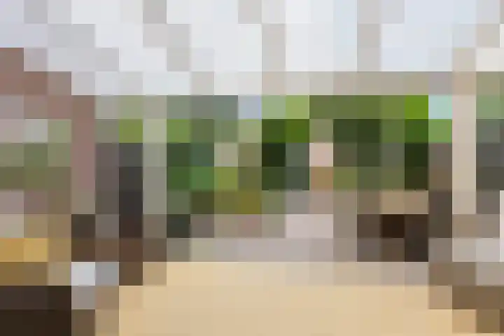 Koning Assentijnpad 24 Amersfoort thumbnail 23