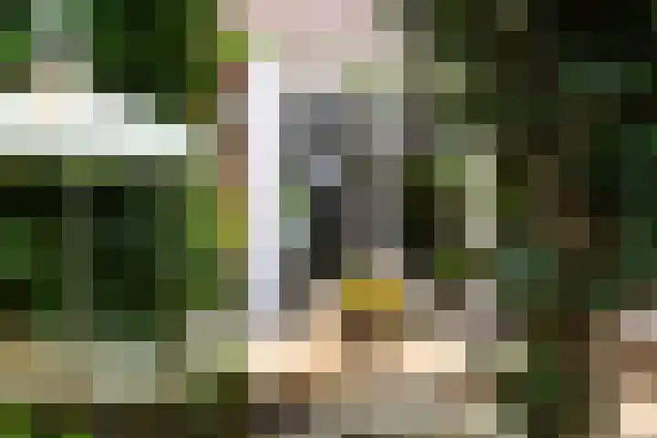Koning Assentijnpad 24 Amersfoort thumbnail 30