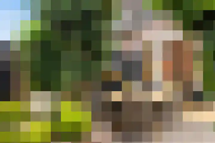 Koning Assentijnpad 24 Amersfoort thumbnail 31