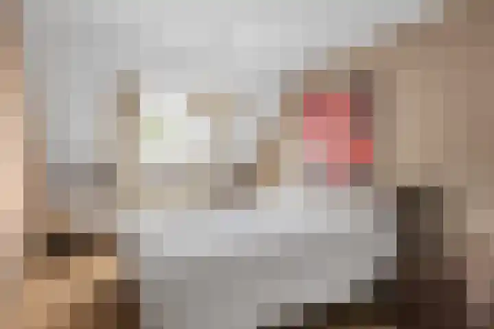 Koning Assentijnpad 24 Amersfoort thumbnail 37