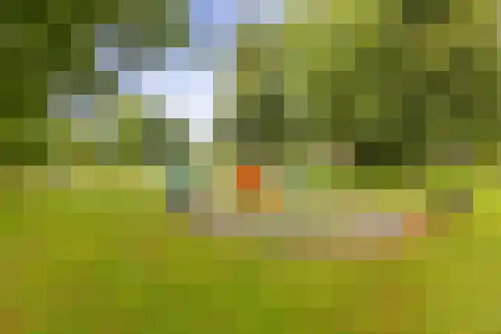 Koning Assentijnpad 24 Amersfoort thumbnail 51