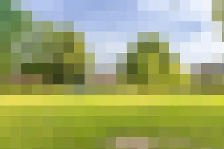 Koning Assentijnpad 24 Amersfoort thumbnail 54