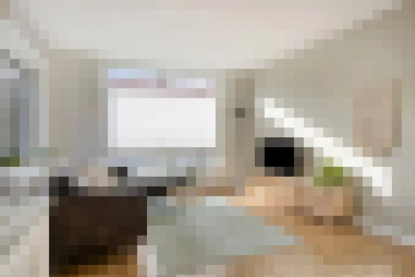 Koning Childebertstraat 21 Maastricht thumbnail 6