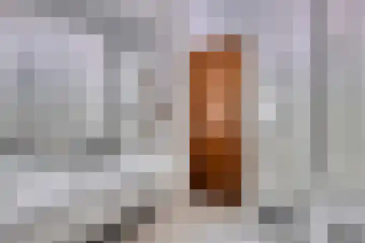 Koning Clovisstraat 47 Maastricht thumbnail 21